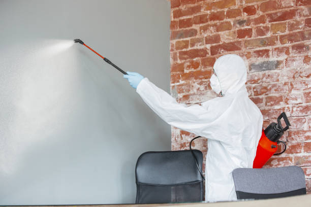 Best Forensic Mold Investigation  in Lebanon, TN