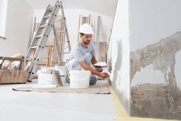 Best Mold Damage Restoration  in Lebanon, TN
