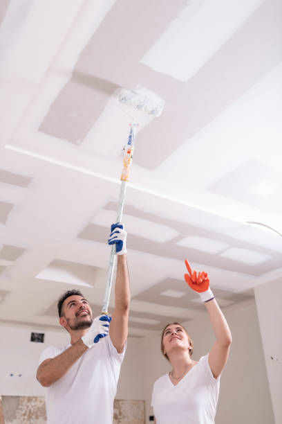 Best Mold Removal for HVAC Installations  in Lebanon, TN
