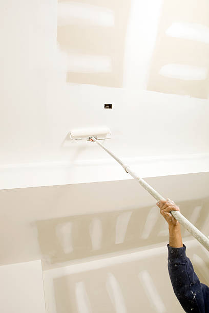 Trusted Lebanon, TN Mold Removal Experts