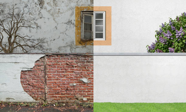 Best Mold Remediation for Healthcare Facilities  in Lebanon, TN