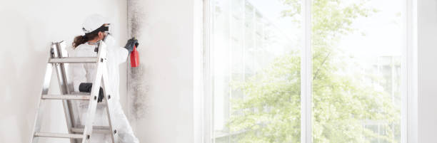 Best Industrial Mold Remediation  in Lebanon, TN