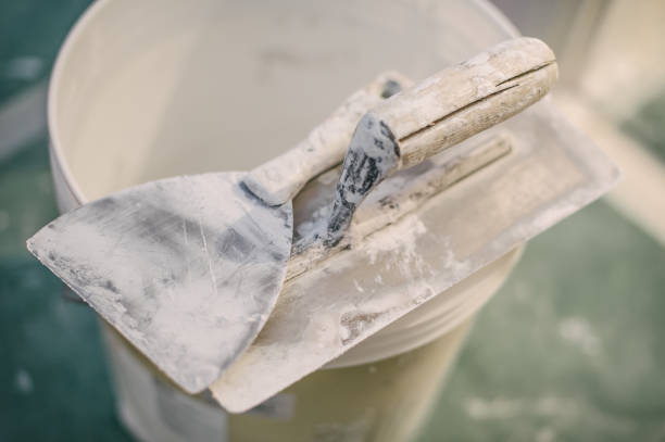 Best Basement Mold Removal  in Lebanon, TN