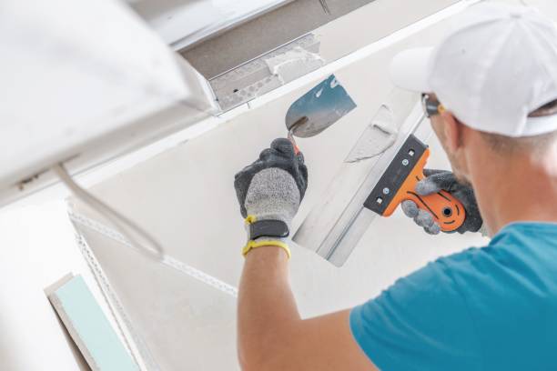 Best Mold Odor Removal Services  in Lebanon, TN